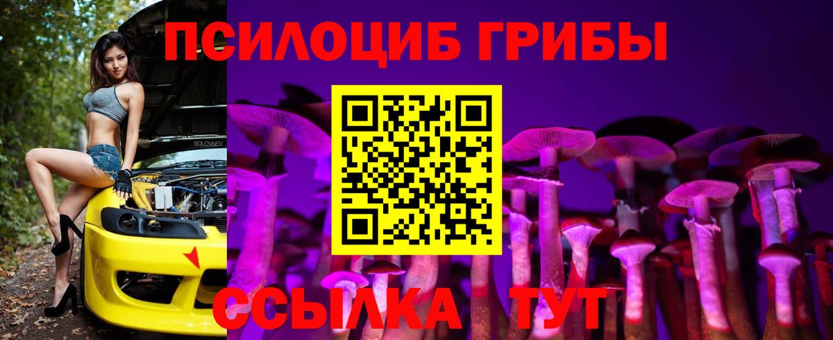 Галлюциногенные грибы мицелий  Галлюциногенные грибы прущие грибы  Советск  Вход с VPN 